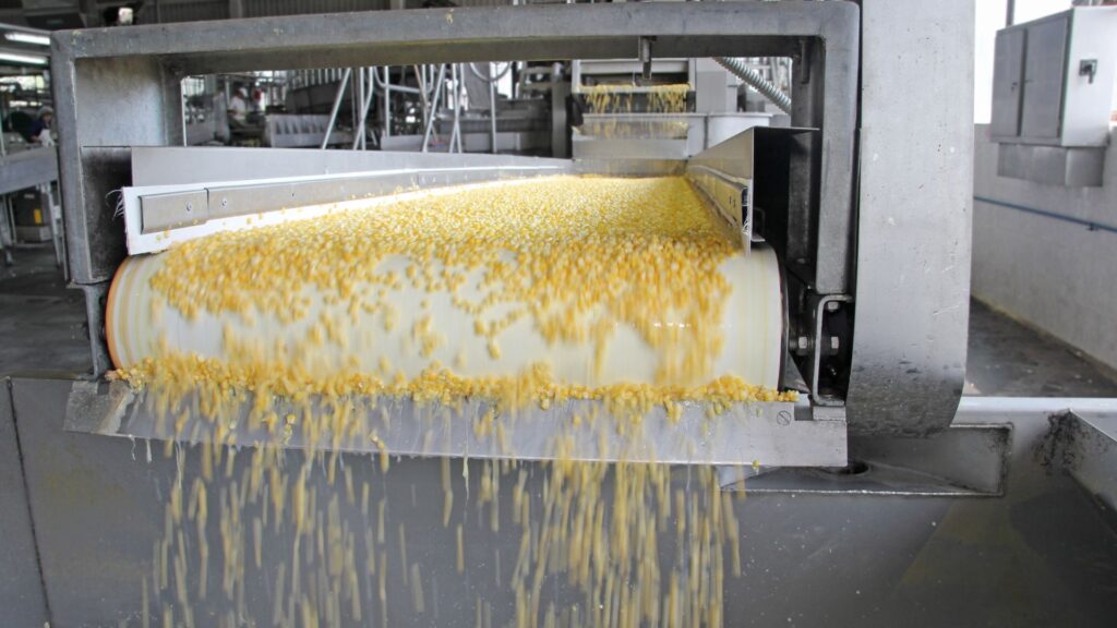 En este escenario, un equipo industrial de alimentación procesa eficazmente granos de maíz amarillo en una cinta transportadora.